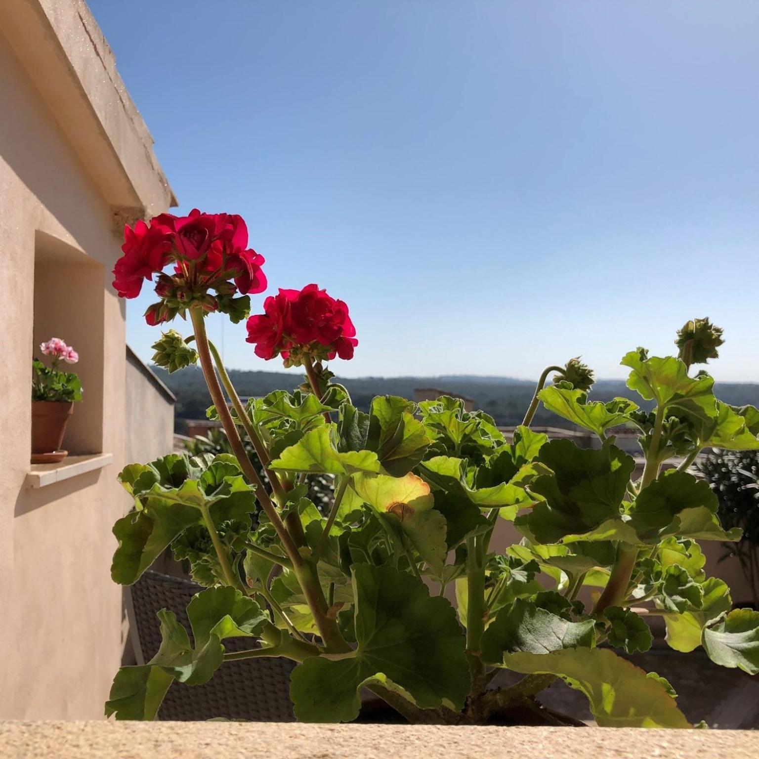 Vista De La - Turismo De Interior. Couette-café